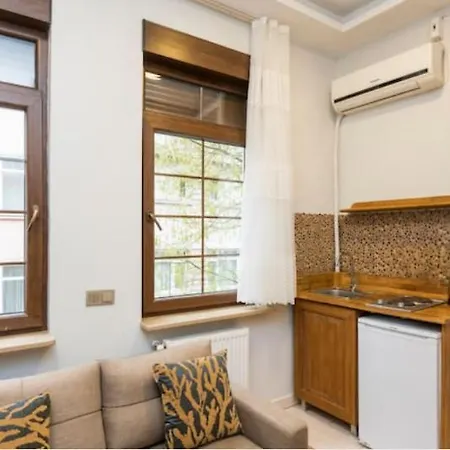Bright 1 Bedroom Flat W/ac In Cihangir * Κωνσταντινούπολη
